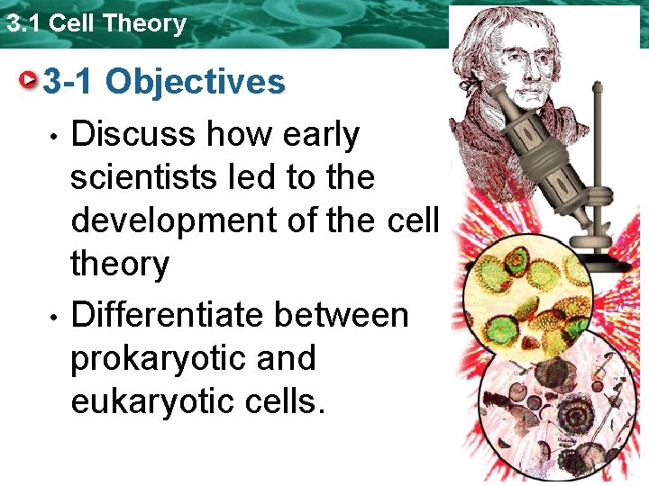 3. 1 Cell Theory 3 -1 Objectives • Discuss how early scientists led to 3. 1 Cell Theory 3 -1 Objectives • Discuss how early scientists led to