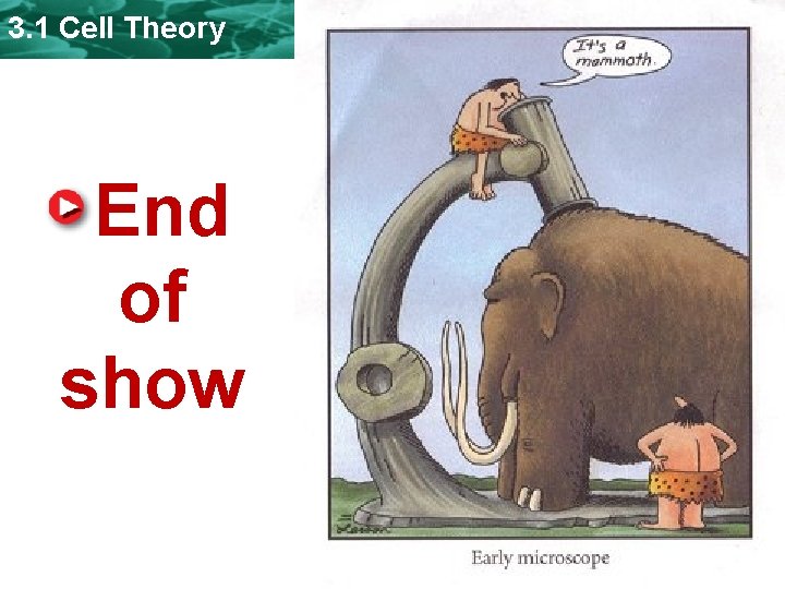 3. 1 Cell Theory End of show  3. 1 Cell Theory End of show
