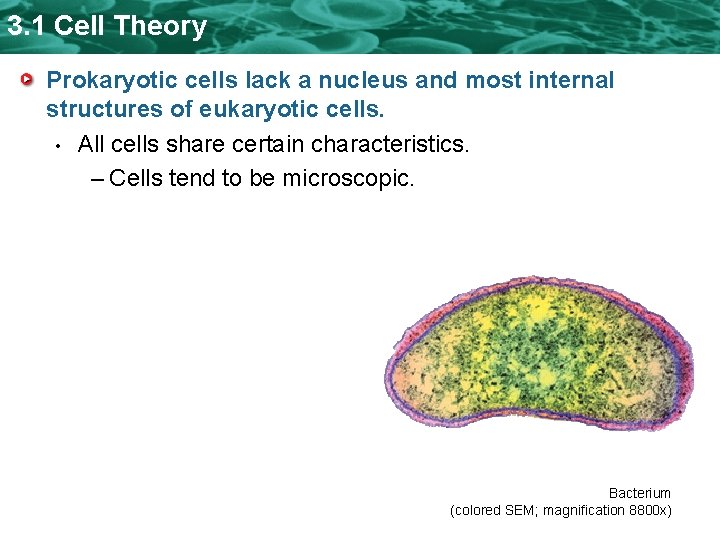 3. 1 Cell Theory Prokaryotic cells lack a nucleus and most internal structures of 3. 1 Cell Theory Prokaryotic cells lack a nucleus and most internal structures of