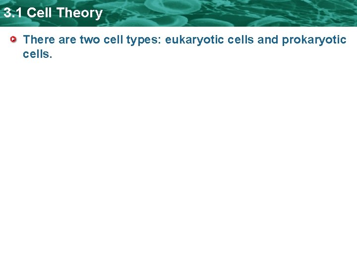 3. 1 Cell Theory There are two cell types: eukaryotic cells and prokaryotic cells. 3. 1 Cell Theory There are two cell types: eukaryotic cells and prokaryotic cells.