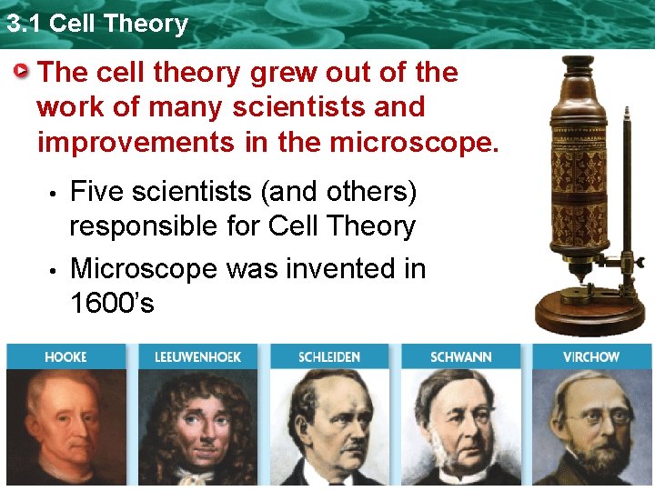 3. 1 Cell Theory The cell theory grew out of the work of many 3. 1 Cell Theory The cell theory grew out of the work of many