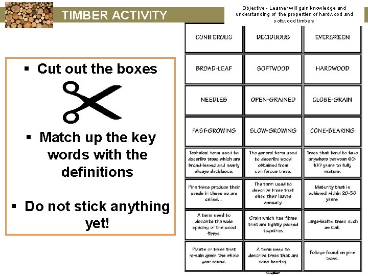 TIMBER ACTIVITY § Cut out the boxes § Match up the key words with