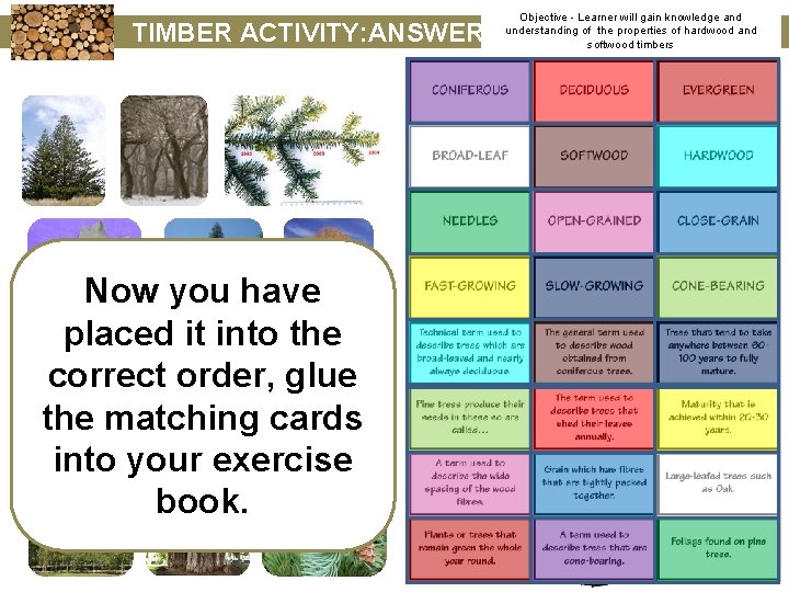 TIMBER ACTIVITY: ANSWERS Now you have placed it into the correct order, glue the