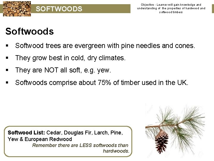SOFTWOODS Objective - Learner will gain knowledge and understanding of the properties of hardwood