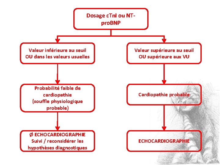 Dosage c. Tn. I ou NTpro. BNP Valeur inférieure au seuil OU dans les