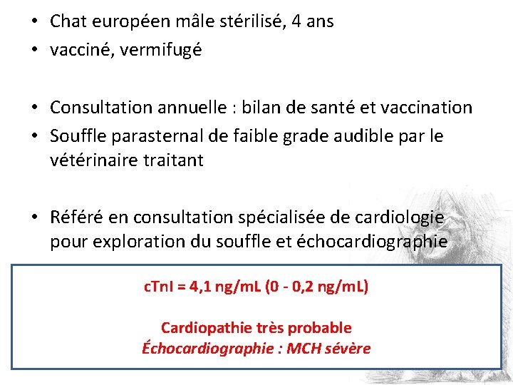  • Chat européen mâle stérilisé, 4 ans • vacciné, vermifugé • Consultation annuelle