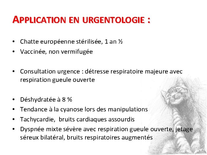 APPLICATION EN URGENTOLOGIE : • Chatte européenne stérilisée, 1 an ½ • Vaccinée, non