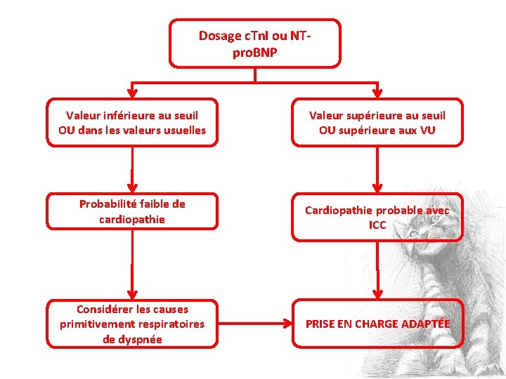 Dosage c. Tn. I ou NTpro. BNP Valeur inférieure au seuil OU dans les