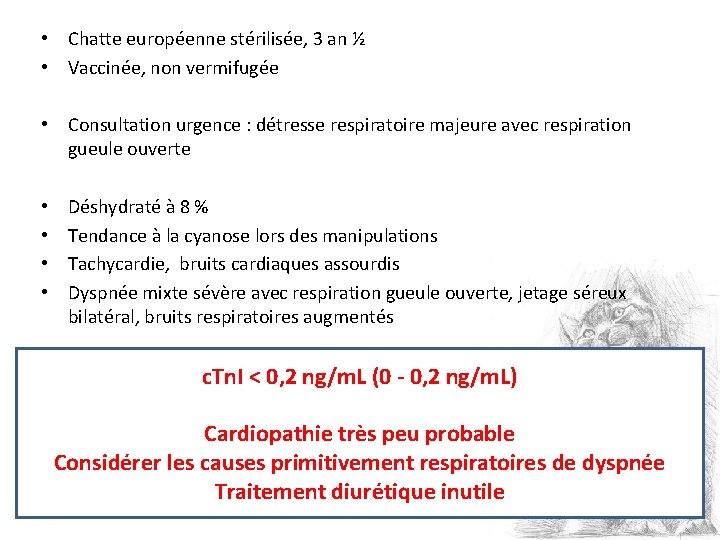  • Chatte européenne stérilisée, 3 an ½ • Vaccinée, non vermifugée • Consultation