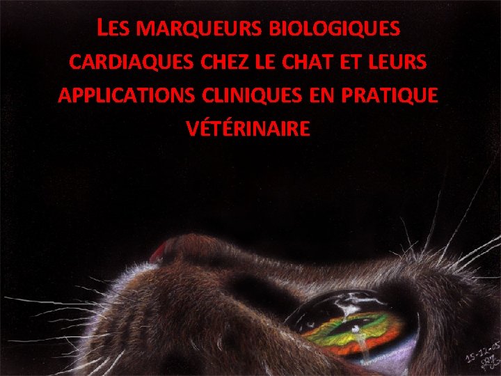 LES MARQUEURS BIOLOGIQUES CARDIAQUES CHEZ LE CHAT ET LEURS APPLICATIONS CLINIQUES EN PRATIQUE VÉTÉRINAIRE