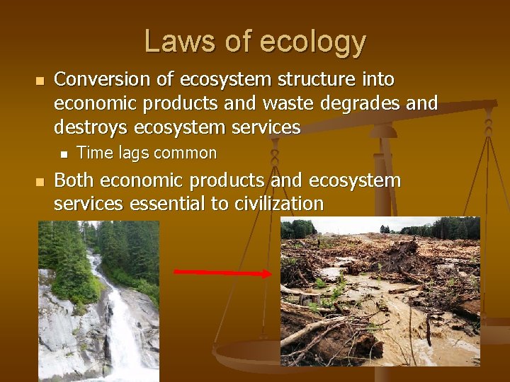 Laws of ecology n Conversion of ecosystem structure into economic products and waste degrades