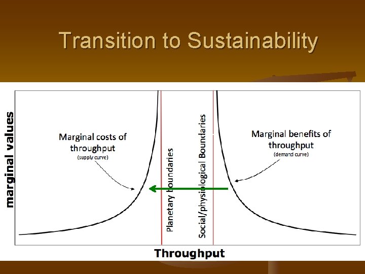 Transition to Sustainability 