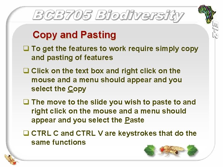 Copy and Pasting q To get the features to work require simply copy and