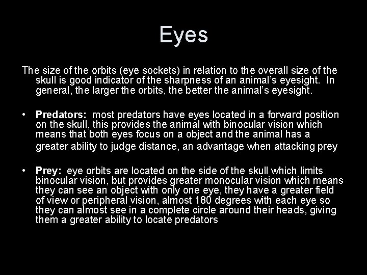 Eyes The size of the orbits (eye sockets) in relation to the overall size Eyes The size of the orbits (eye sockets) in relation to the overall size