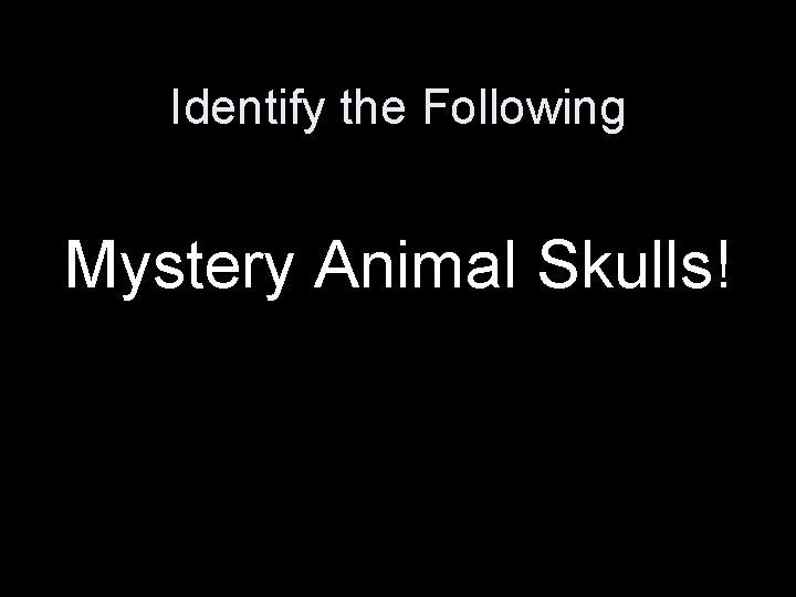 Identify the Following Mystery Animal Skulls! Identify the Following Mystery Animal Skulls!