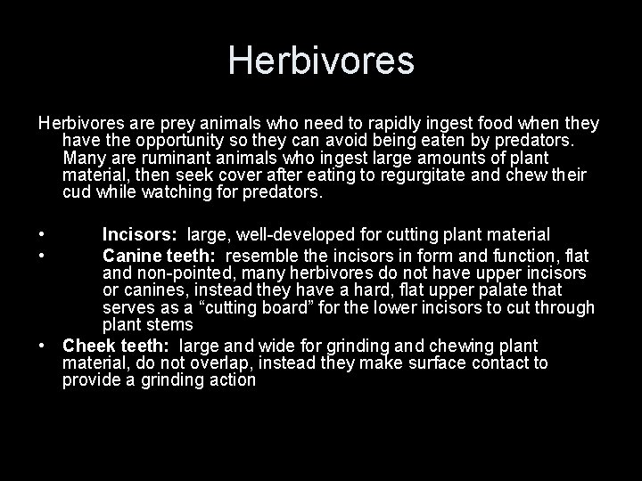 Herbivores are prey animals who need to rapidly ingest food when they have the Herbivores are prey animals who need to rapidly ingest food when they have the