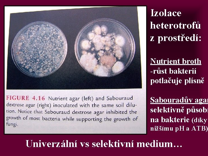 Izolace heterotrofů z prostředí: Nutrient broth -růst bakterií potlačuje plísně Sabouradův agar selektivně působí