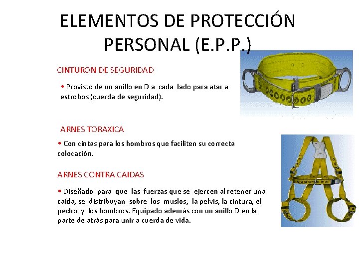 ELEMENTOS DE PROTECCIÓN PERSONAL (E. P. P. ) CINTURON DE SEGURIDAD • Provisto de