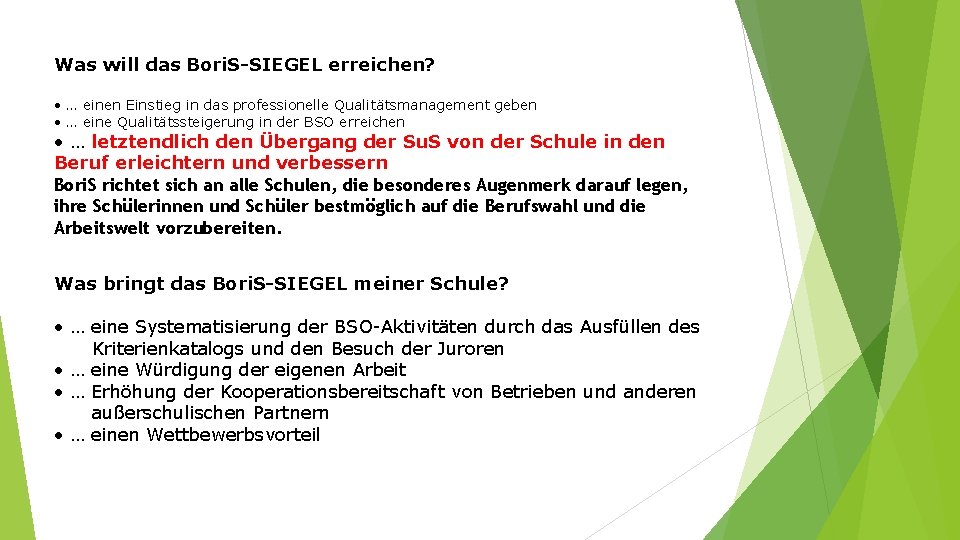 Was will das Bori. S-SIEGEL erreichen? • … einen Einstieg in das professionelle Qualitätsmanagement