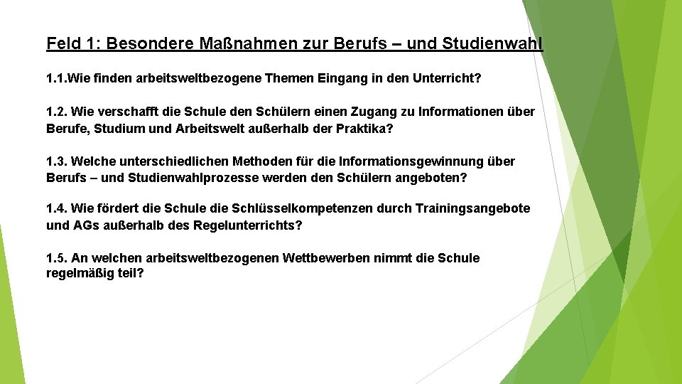 Feld 1: Besondere Maßnahmen zur Berufs – und Studienwahl 1. 1. Wie finden arbeitsweltbezogene