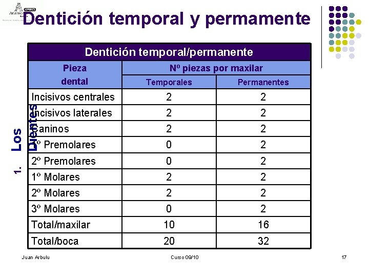 Dentición temporal y permamente Dentición temporal/permanente Temporales Permanentes Incisivos centrales 2 2 Incisivos laterales