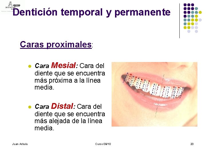 Dentición temporal y permanente Caras proximales: l l Juan Arbulu Cara Mesial: Cara del