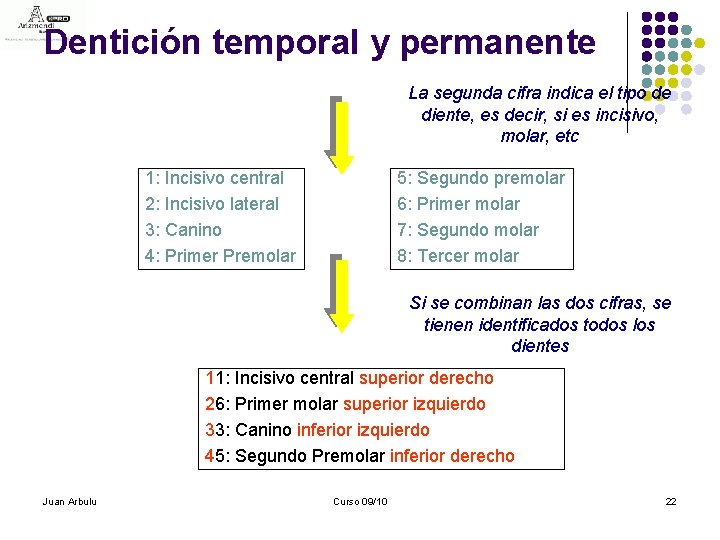 Dentición temporal y permanente La segunda cifra indica el tipo de diente, es decir,