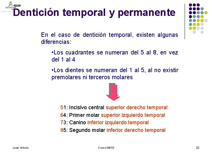 Dentición temporal y permanente En el caso de dentición temporal, existen algunas diferencias: •