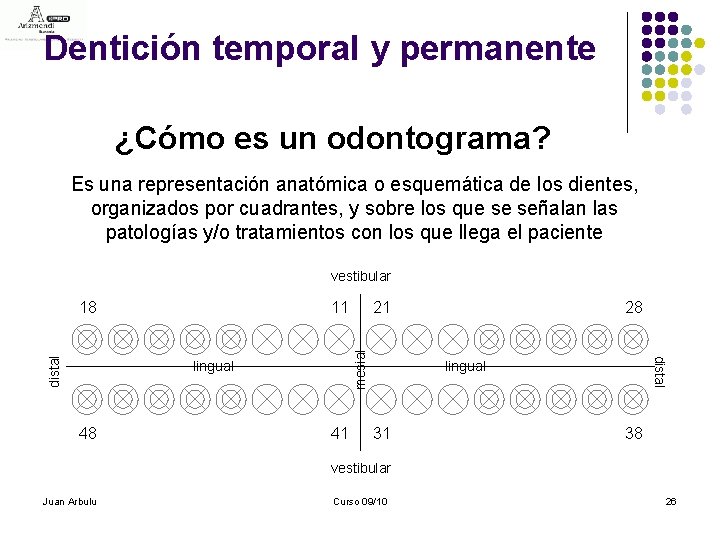 Dentición temporal y permanente ¿Cómo es un odontograma? Es una representación anatómica o esquemática