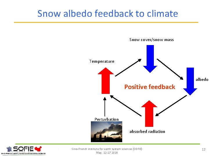 Snow albedo feedback to climate Snow cover/snow mass Temperature albedo Positive feedback Perturbation absorbed