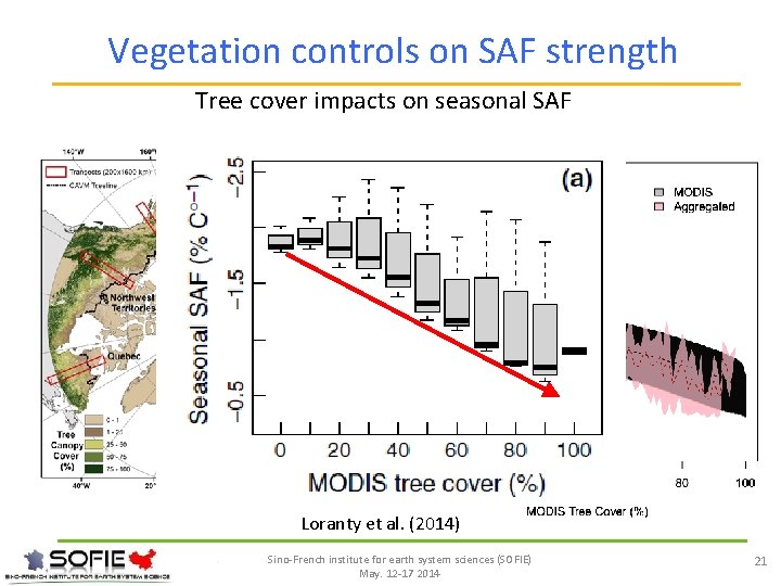 Vegetation controls on SAF strength Tree cover impacts on seasonal SAF Loranty et al.