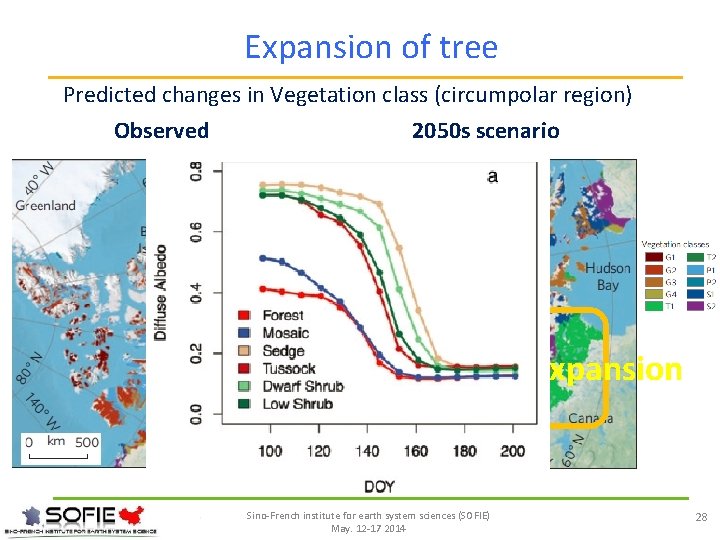 Expansion of tree Predicted changes in Vegetation class (circumpolar region) Observed 2050 s scenario