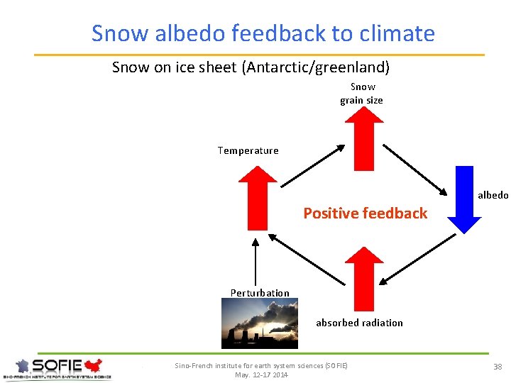 Snow albedo feedback to climate Snow on ice sheet (Antarctic/greenland) Snow grain size Temperature