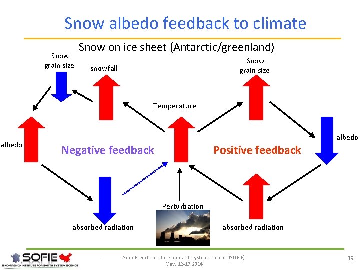 Snow albedo feedback to climate Snow grain size Snow on ice sheet (Antarctic/greenland) Snow