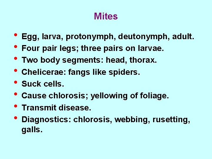 Mites • Egg, larva, protonymph, deutonymph, adult. • Four pair legs; three pairs on