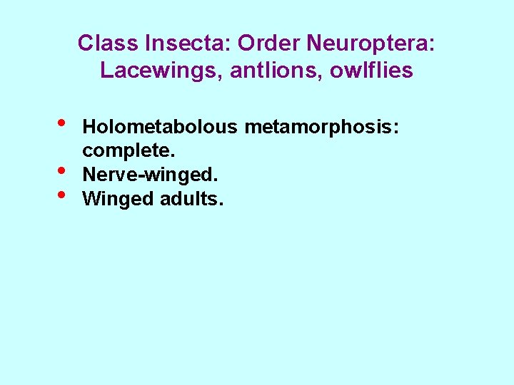 Class Insecta: Order Neuroptera: Lacewings, antlions, owlflies • • • Holometabolous metamorphosis: complete. Nerve-winged.