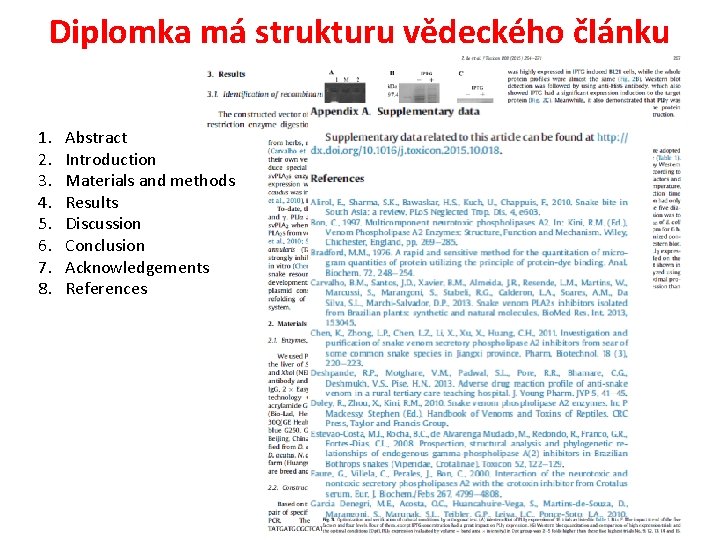 Diplomka má strukturu vědeckého článku 1. 2. 3. 4. 5. 6. 7. 8. Abstract