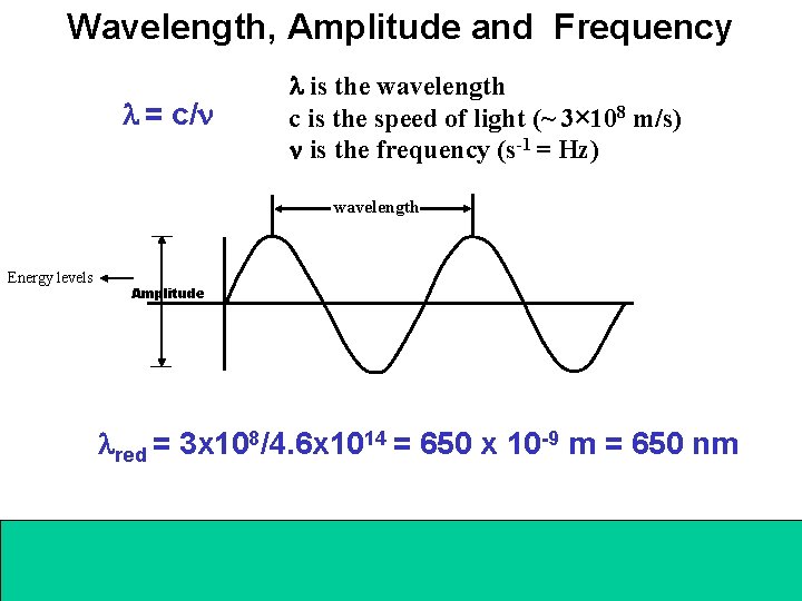 Wavelength, Amplitude and Frequency l = c/n l is the wavelength c is the