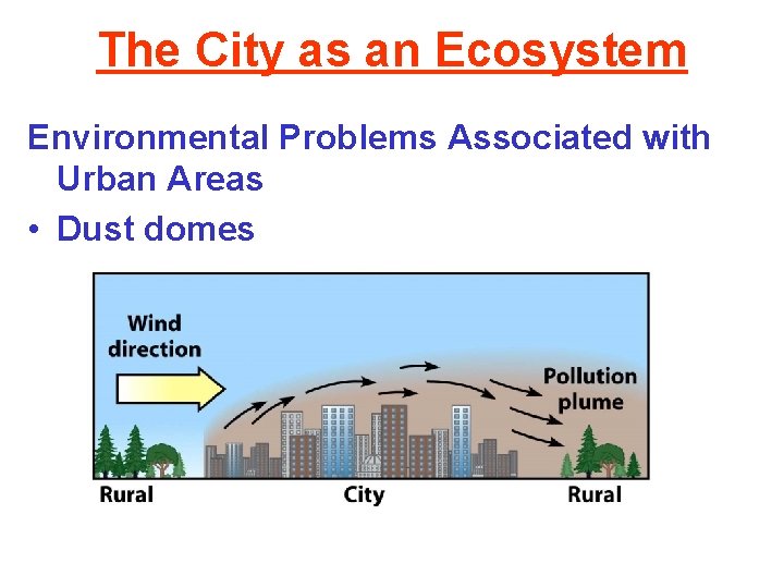 The City as an Ecosystem Environmental Problems Associated with Urban Areas • Dust domes