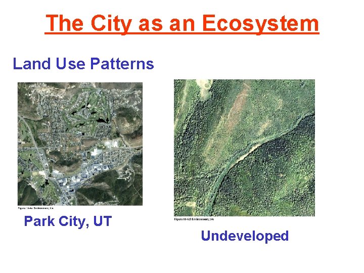 The City as an Ecosystem Land Use Patterns Park City, UT Undeveloped 