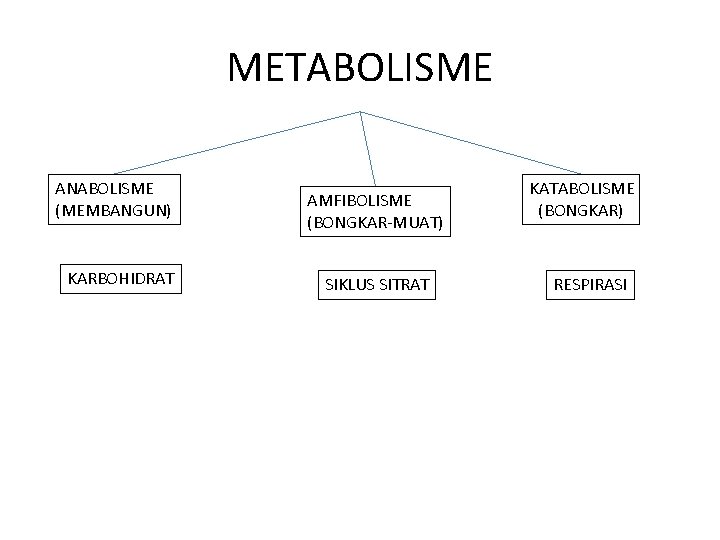 METABOLISME ANABOLISME (MEMBANGUN) KARBOHIDRAT AMFIBOLISME (BONGKAR-MUAT) SIKLUS SITRAT KATABOLISME (BONGKAR) RESPIRASI 