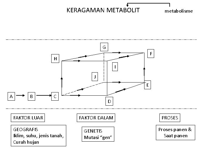 KERAGAMAN METABOLIT metabolisme G F H I J E A B C FAKTOR LUAR