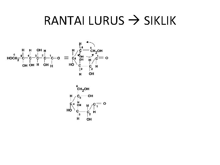 RANTAI LURUS SIKLIK 