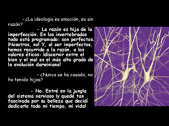 - ¿La ideología es emoción, es sin razón? - La razón es hija de