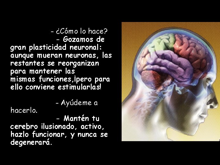 - ¿Cómo lo hace? - Gozamos de gran plasticidad neuronal: aunque mueran neuronas, las