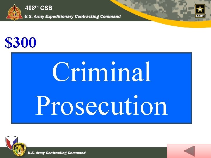 408 th CSB $300 Criminal Prosecution Beyond being fired, a demonstrated conflict of interest