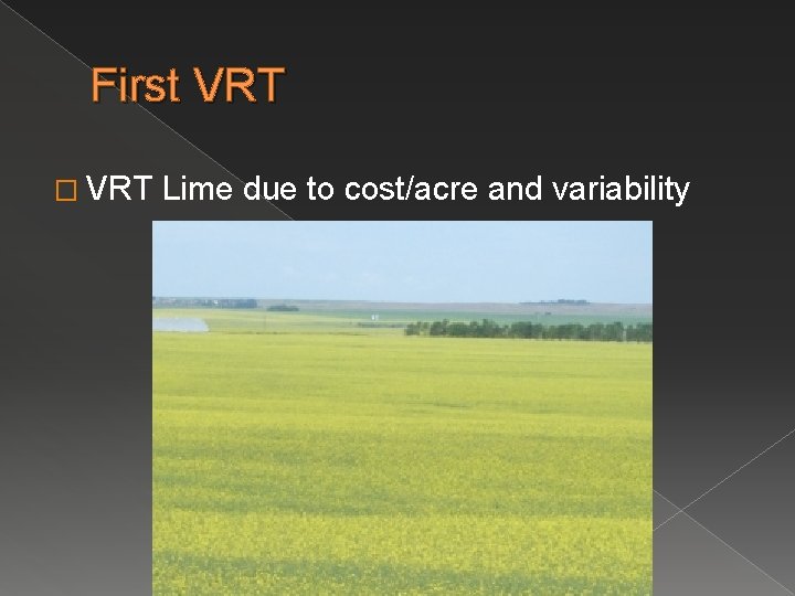 First VRT � VRT Lime due to cost/acre and variability 