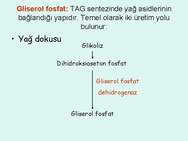 Gliserol fosfat: TAG sentezinde yağ asidlerinin bağlandığı yapıdır. Temel olarak iki üretim yolu bulunur: