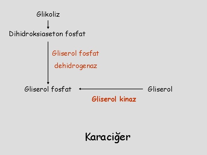 Glikoliz Dihidroksiaseton fosfat Gliserol fosfat dehidrogenaz Gliserol fosfat Gliserol kinaz Karaciğer 