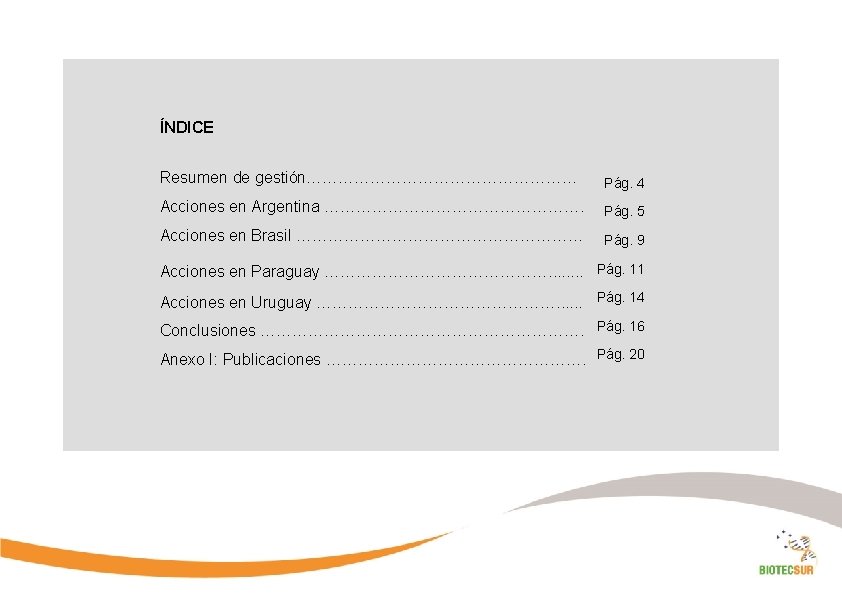 ÍNDICE Resumen de gestión……………………… Pág. 4 Acciones en Argentina ……………………. Pág. 5 Acciones en